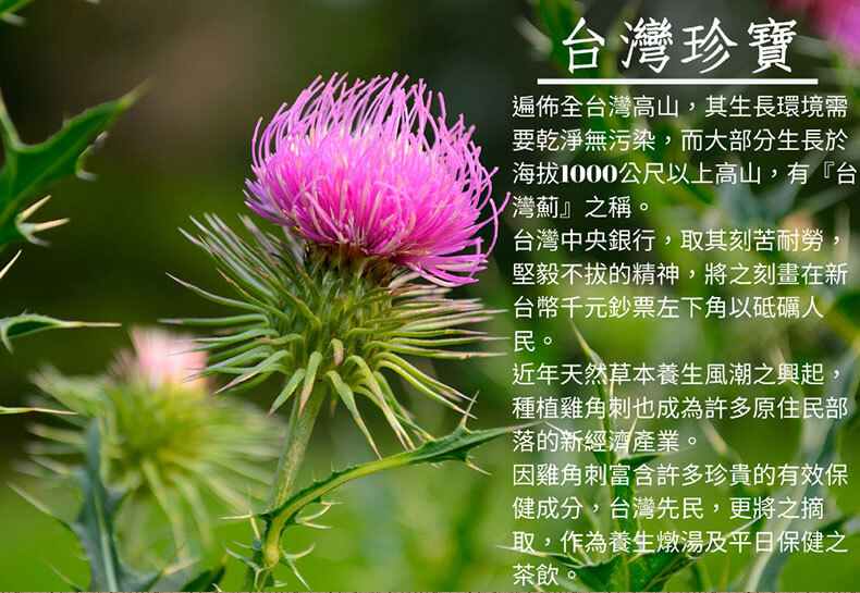 雞角刺